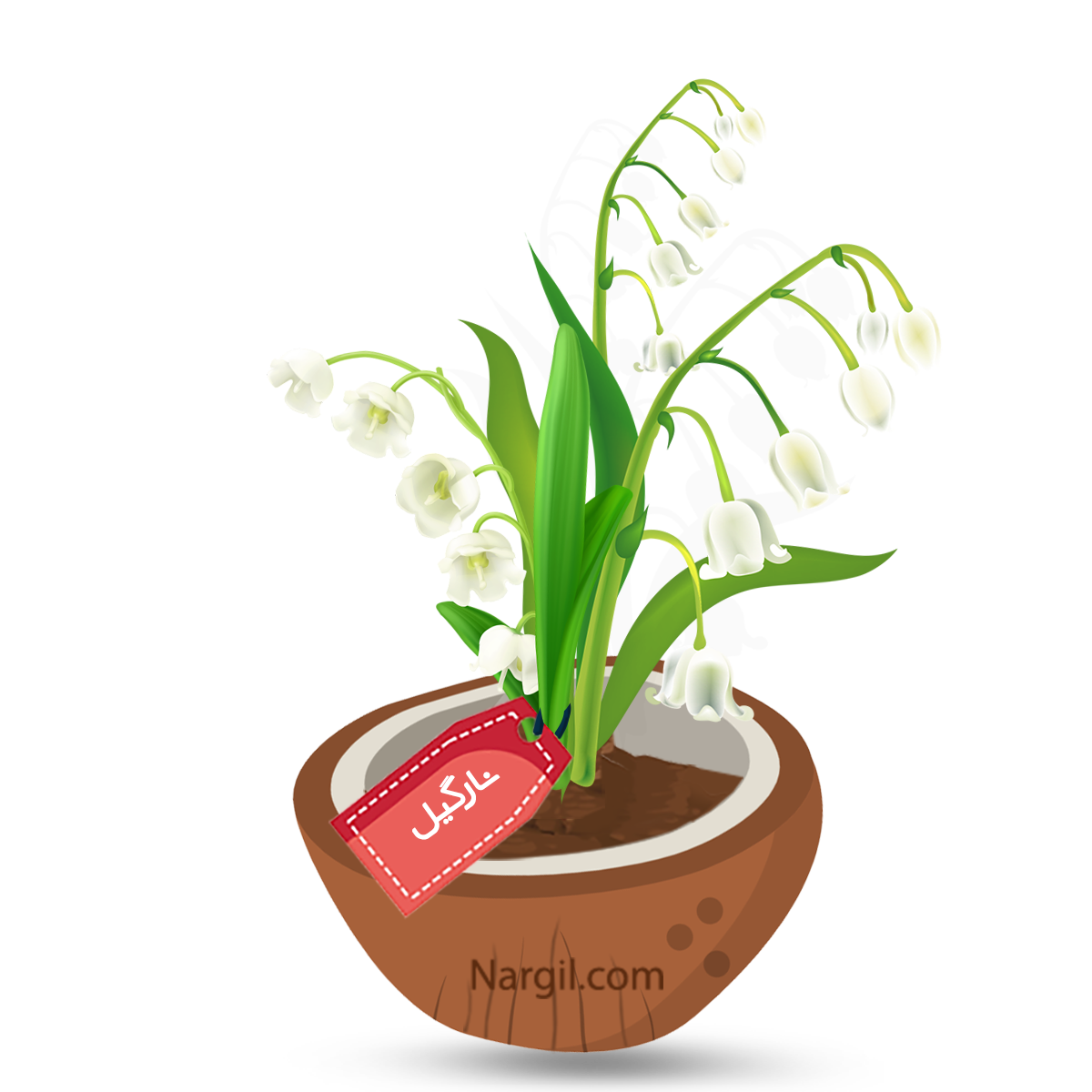  Nargil - lily of the valley